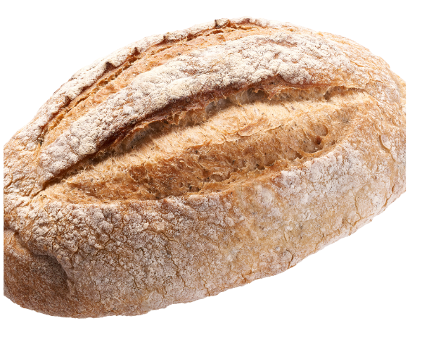 Gluten Free Sourdough Basics - an Introduction & Bake - Hobby Hill Farm