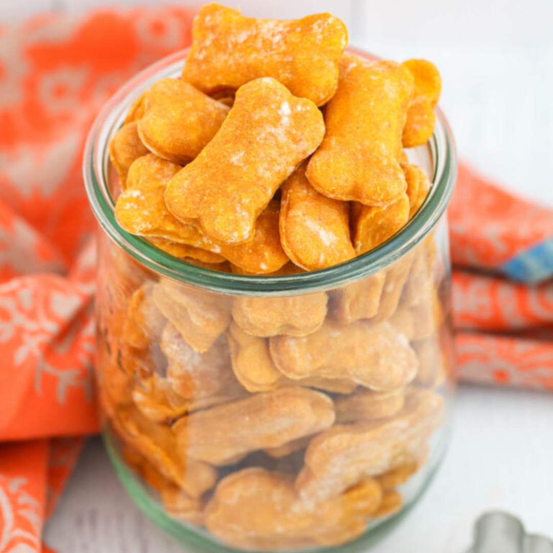 Bow Wow Bakery — Homemade Dog Treats Class