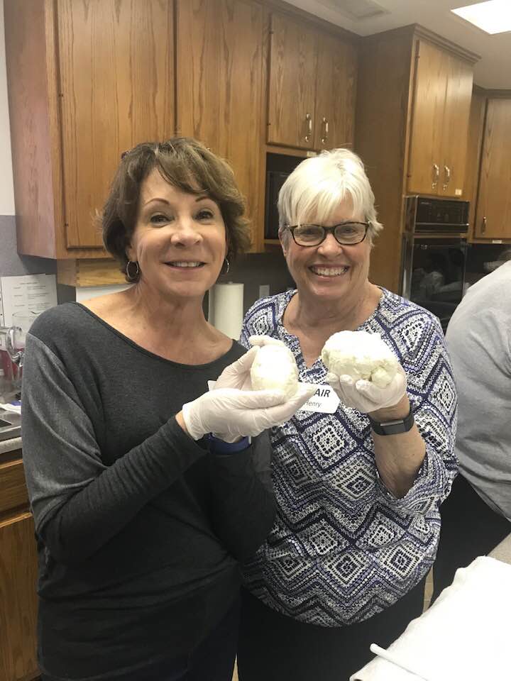 Mozzarella & Ricotta Cheesemaking - Virtual Training - Hobby Hill Farm