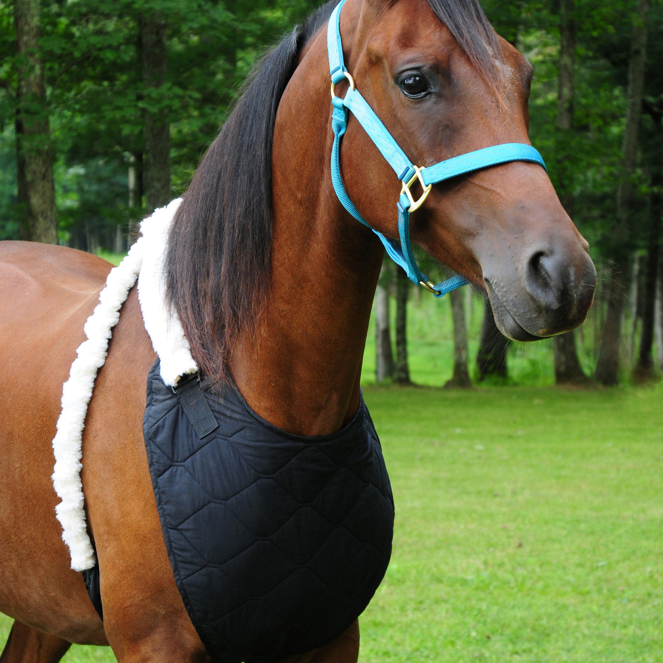 Equine Cooling Water Activated