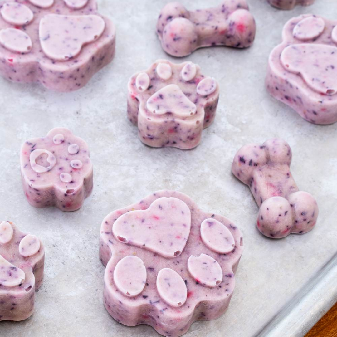 Bow Wow Bakery — Homemade Dog Treats Class