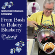 From Bush to Bakery: Blueberry - Hobby Hill Farm