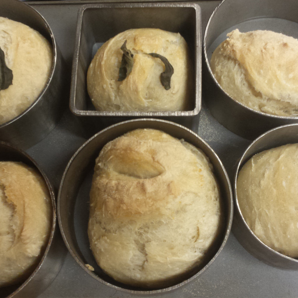 Friends of Sarah -  Artisan Bread Making - Hobby Hill Farm