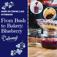 From Bush to Bakery: Blueberry - Hobby Hill Farm