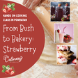 From Bush to Bakery: Strawberry - Hobby Hill Farm