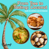 From Tree to Tasting: Coconut