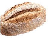 Gluten Free Sourdough Basics - an Introduction & Bake - Hobby Hill Farm