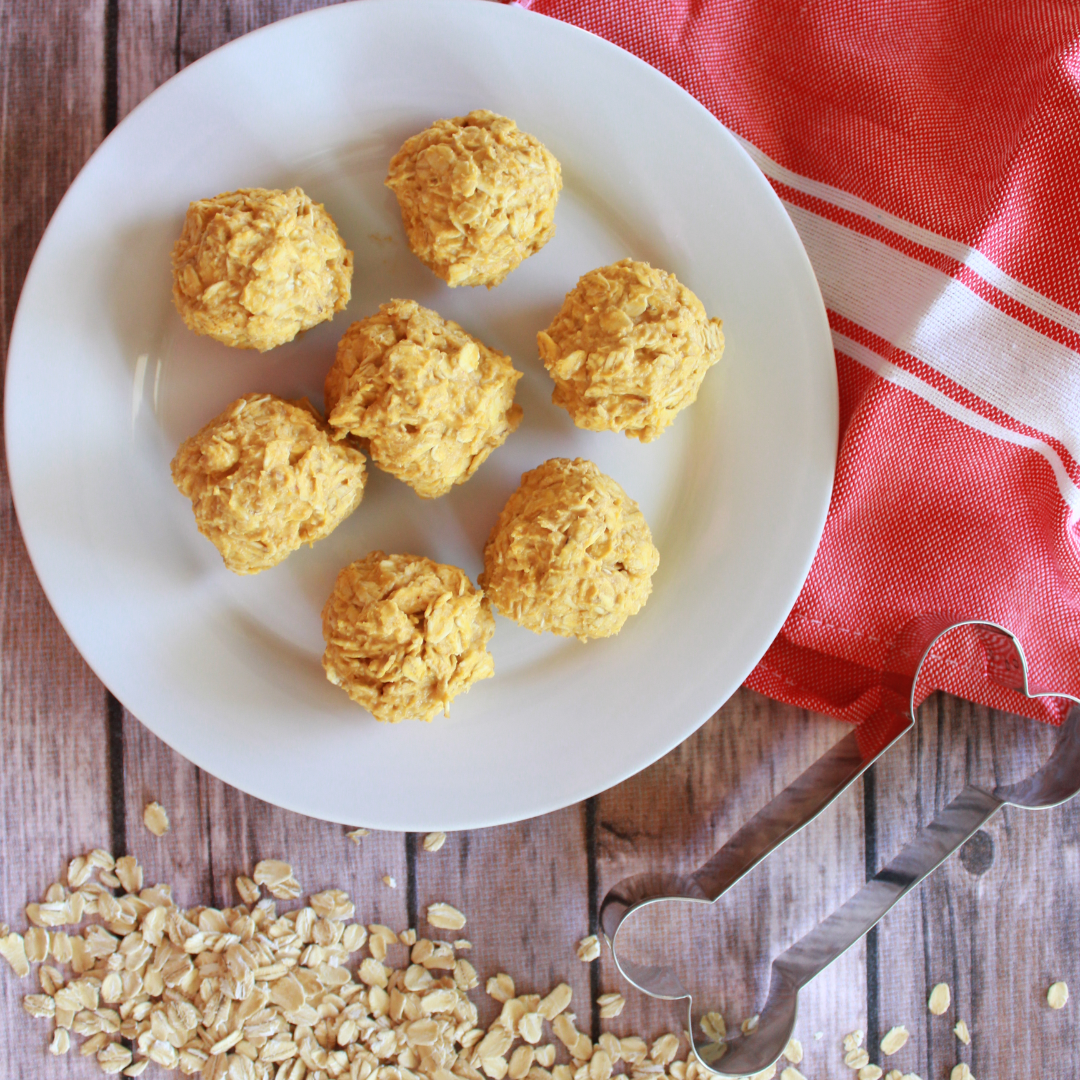 Bow Wow Bakery — Homemade Dog Treats Class
