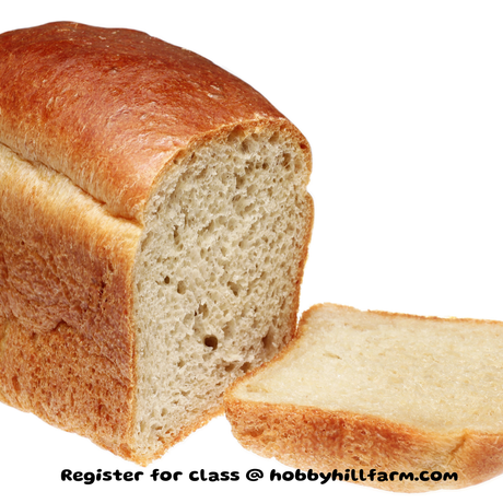 The Bread Basket: Homemade Rolls & Sandwich Loaf Workshop - Hobby Hill Farm