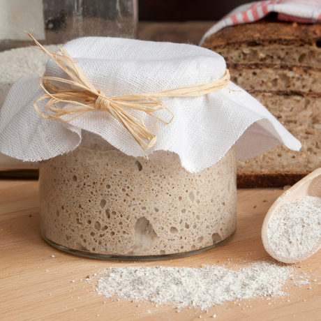 Sourdough 101 & Cream Cheese for friends of Robin - Hobby Hill Farm