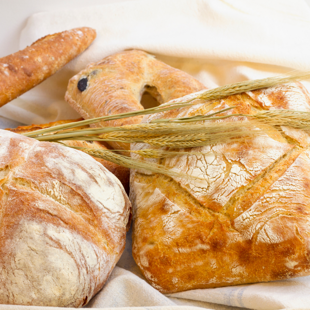 Gluten Free  - Artisan Bread Making - Hobby Hill Farm