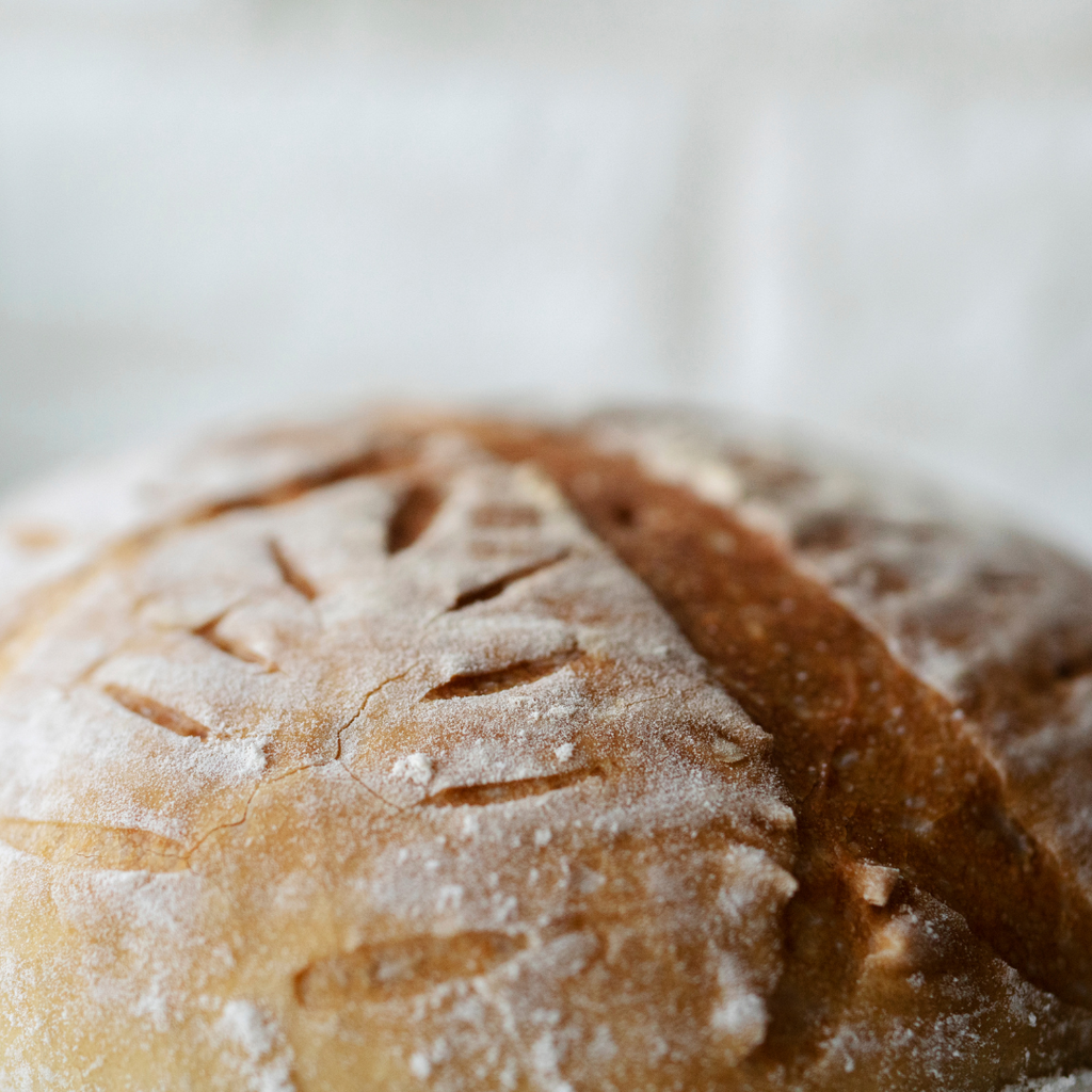 Artisan Bread Making-online - Hobby Hill Farm